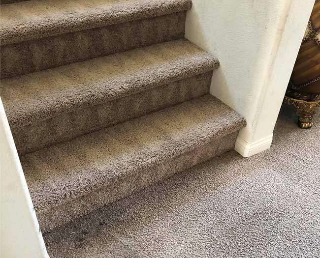Get an effective carpet cleaning
