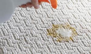 Carpet Vomit Stain Removal
